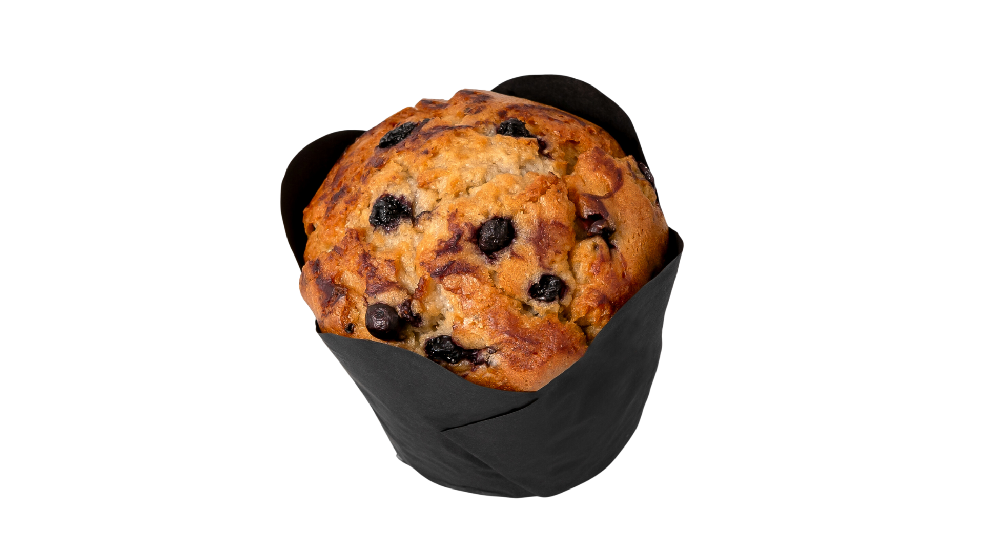 Blueberry muffin - Wholesale available